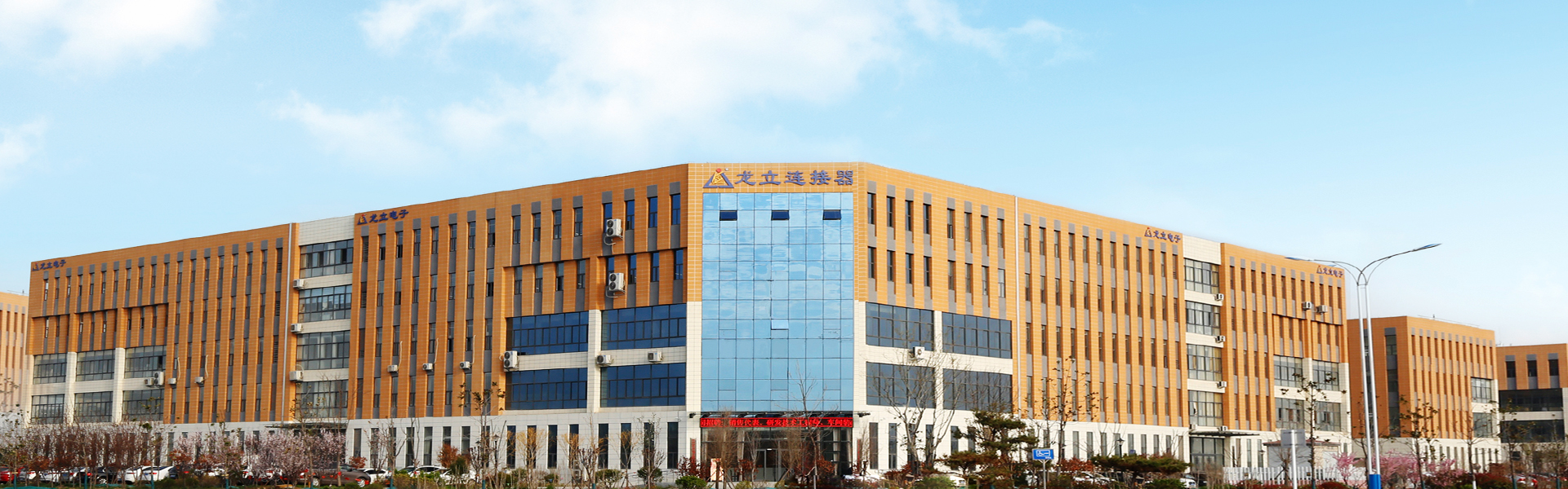 龍立電子順利通過制造業(yè)單項冠軍企業(yè)復(fù)核，續(xù)寫行業(yè)輝煌篇章